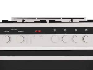 Gas stove Fisher Paykel 3D Model