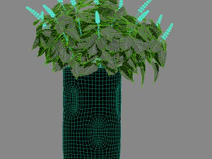 Bouquet in a vase 1 3D Model
