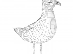 SeaGull 3D Модель