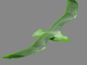 Mewa w locie Model 3D