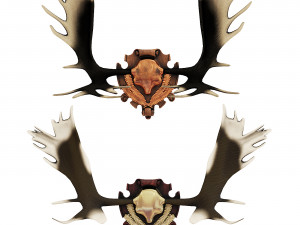 Emblems and horns 3D Model