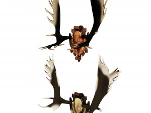 Emblems and horns Modèle 3D