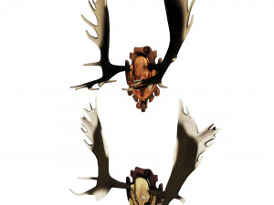 Emblems and horns 3D Model