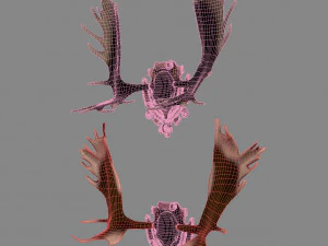 Emblems and horns 3D Model