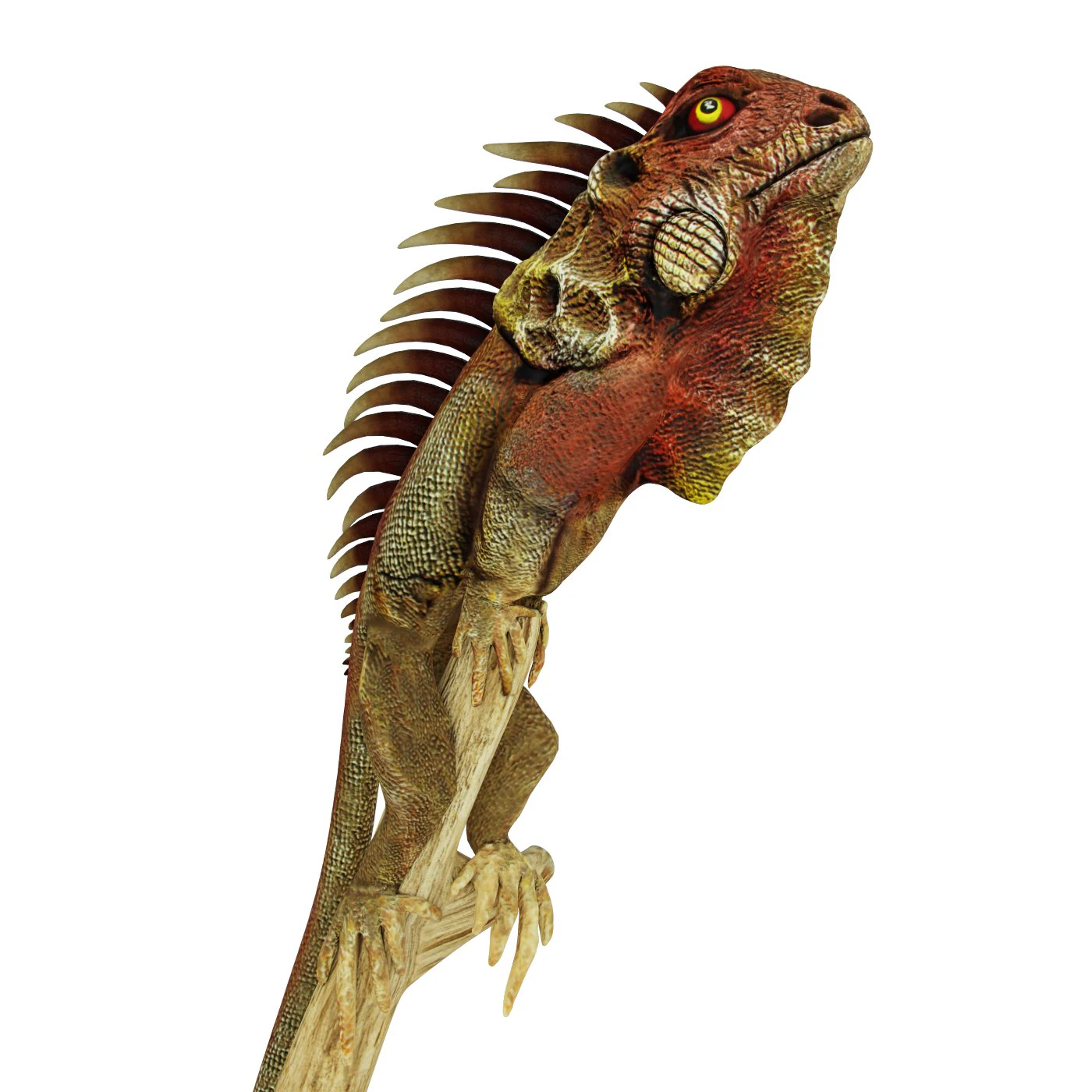 Iguana 3D Model .c4d .max .obj .3ds .fbx .stl .blend 