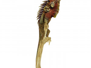 Iguana Modelo 3D