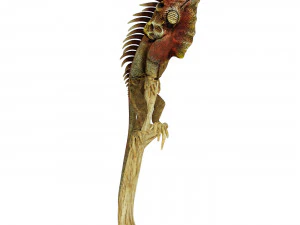 Iguana 3D Model