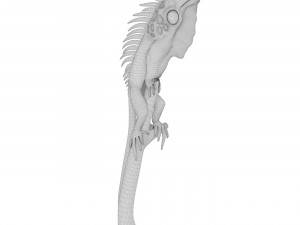 Iguana Modelo 3D