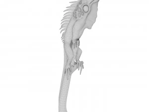 Iguana 3D Model