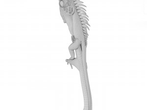 Iguana Modelo 3D