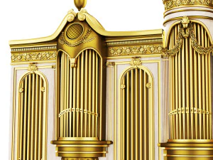 Organ 3D Model
