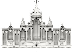 Organ 3D 모델