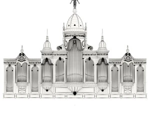 Organ 3D Model