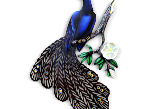 Peacock 3Dモデル