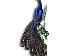 Peacock 3Dモデル