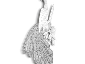 Peacock 3Dモデル