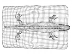Plaster Lizard 3D Model