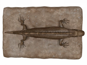 Plaster Lizard 3D 모델