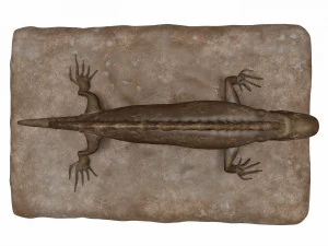 Plaster Lizard 3D Model