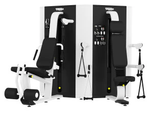 Entra&icirc;neur Plurima Technogym Modèle 3D