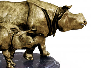 Rhinoceroses 3D Model