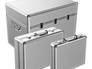 ROC Flight suitcase set Modello 3D