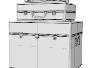 ROC Flight suitcase set Modello 3D