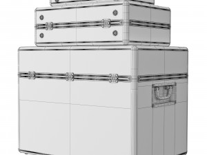 ROC Flight suitcase set Modello 3D
