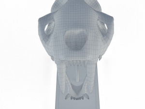 Skull of saber-toothed tiger Model 3D