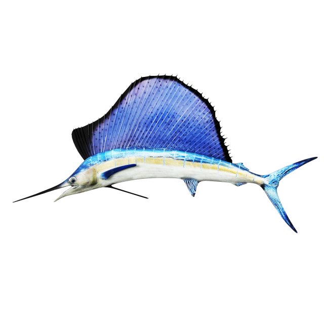Sail Fish Modello 3D .c4d .max .obj .3ds .fbx .stl .blend 
