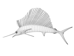 Sail Fish Modello 3D