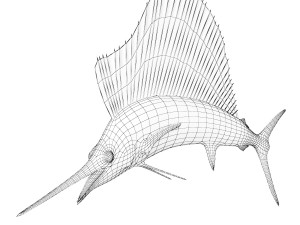 Sail Fish Modello 3D