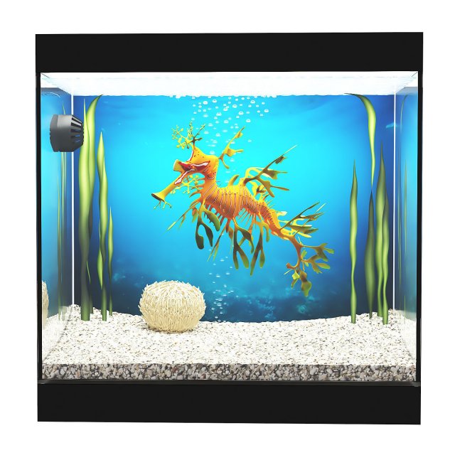 Aquarium - seadragon Modello 3D .c4d .max .obj .3ds .fbx .stl .blend 