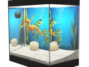 Aquarium - seadragon 3D Model