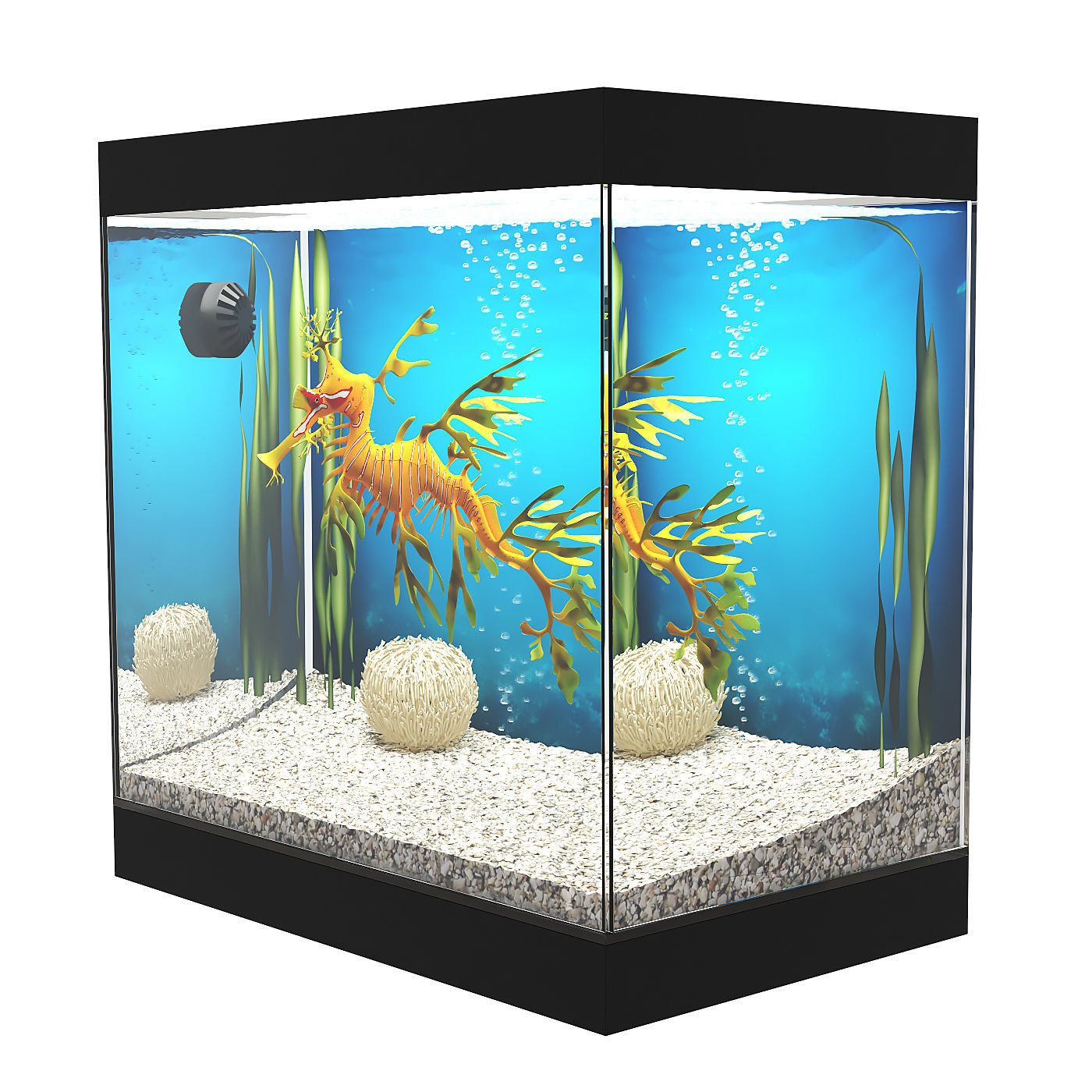 Dragon shop fish petsmart