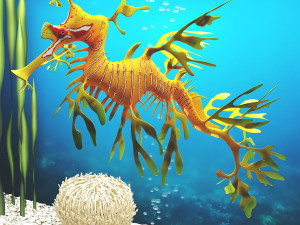 Aquarium - seadragon Modello 3D