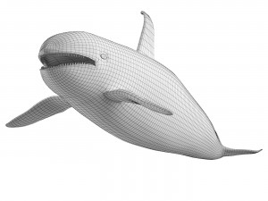 Killer whale Modelo 3D
