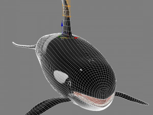 Killer whale Modelo 3D