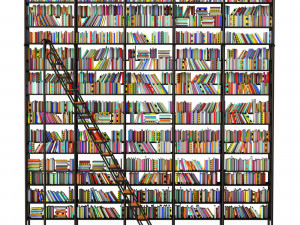Shelving with books 3D 模型