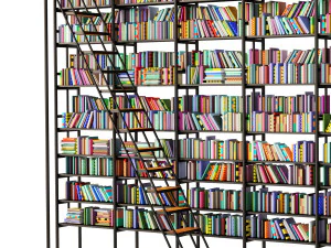 Shelving with books 3D Model