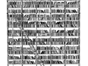 Shelving with books 3D Model