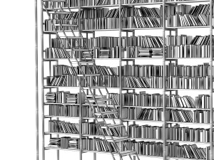 Shelving with books 3D 모델