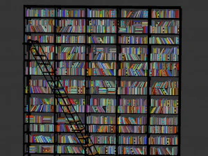 Shelving with books 3D Model