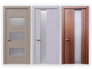 Glass veneer doors Modelo 3D