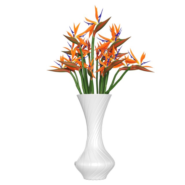 Strelitzia 3D मॉडल .c4d .max .obj .3ds .fbx .stl .blend 