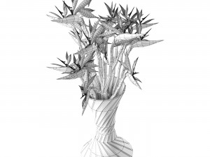 Strelitzia 3D मॉडल