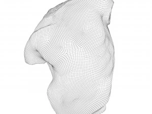 Sculpture Gaddi Torso 3D Model