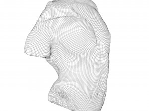Sculpture Gaddi Torso Modèle 3D