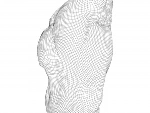 Sculpture Gaddi Torso Modèle 3D