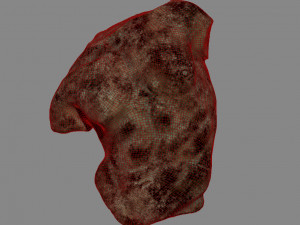 Sculpture Gaddi Torso Modèle 3D